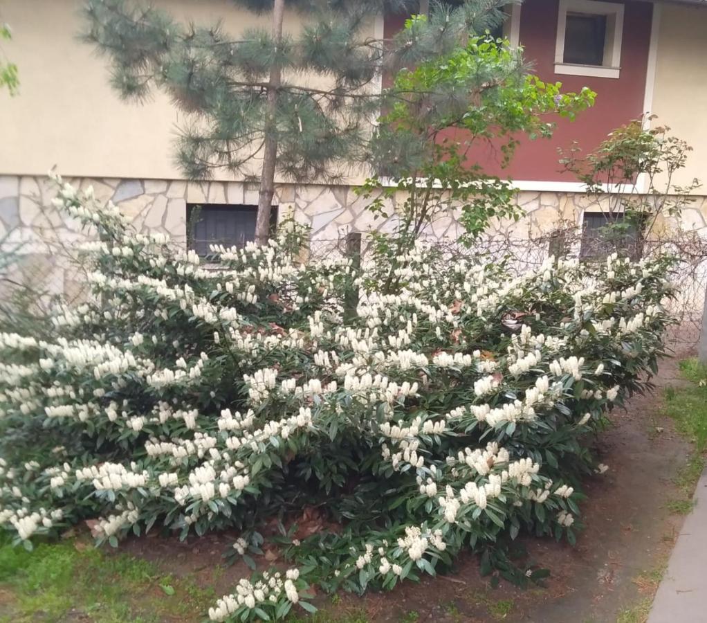 סובוטיקה Sandrea Studio Apartment מראה חיצוני תמונה